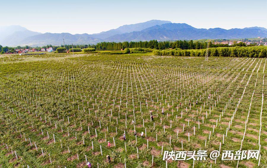 勉县gdp_勉县一中校花照片(2)