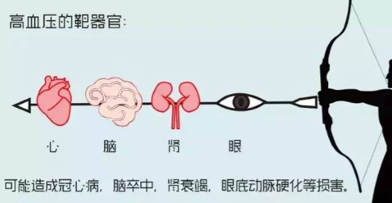 bc3022cf17d7f16d6fe79c91ceb8b643.png