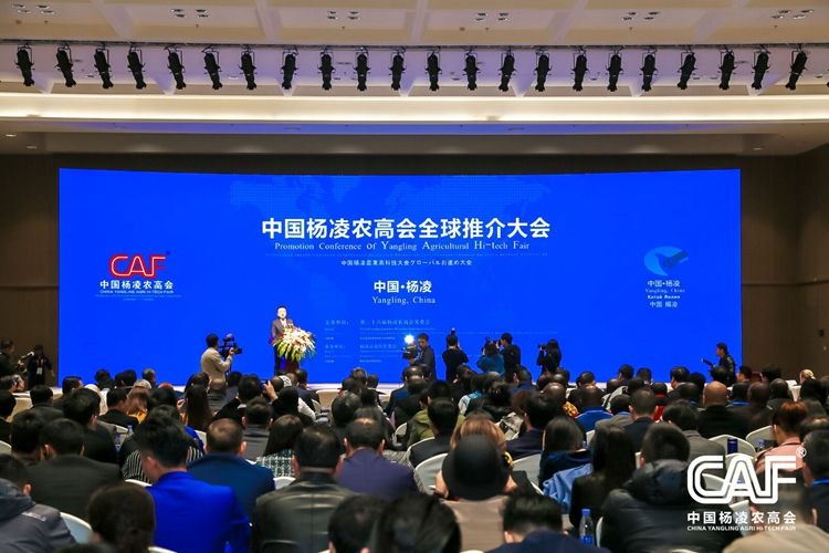 中国杨凌农高会全球推介大会举行杨凌与6国签订合作协议 西部网 陕西新闻网