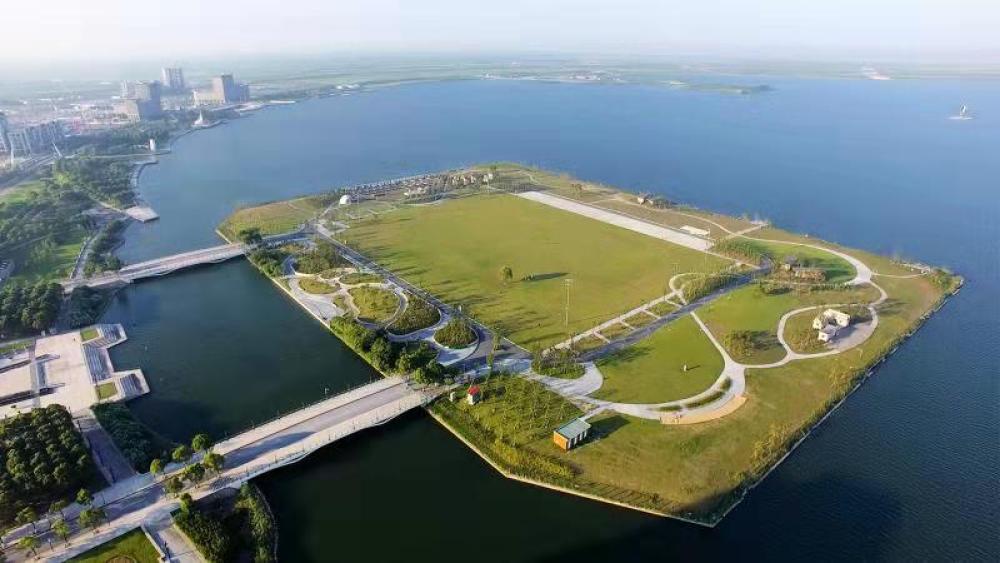 上海临港：借诺奖东风打造世界级“科学港”
