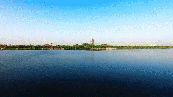 1aad26689b30a559e23c614698c22060.gif