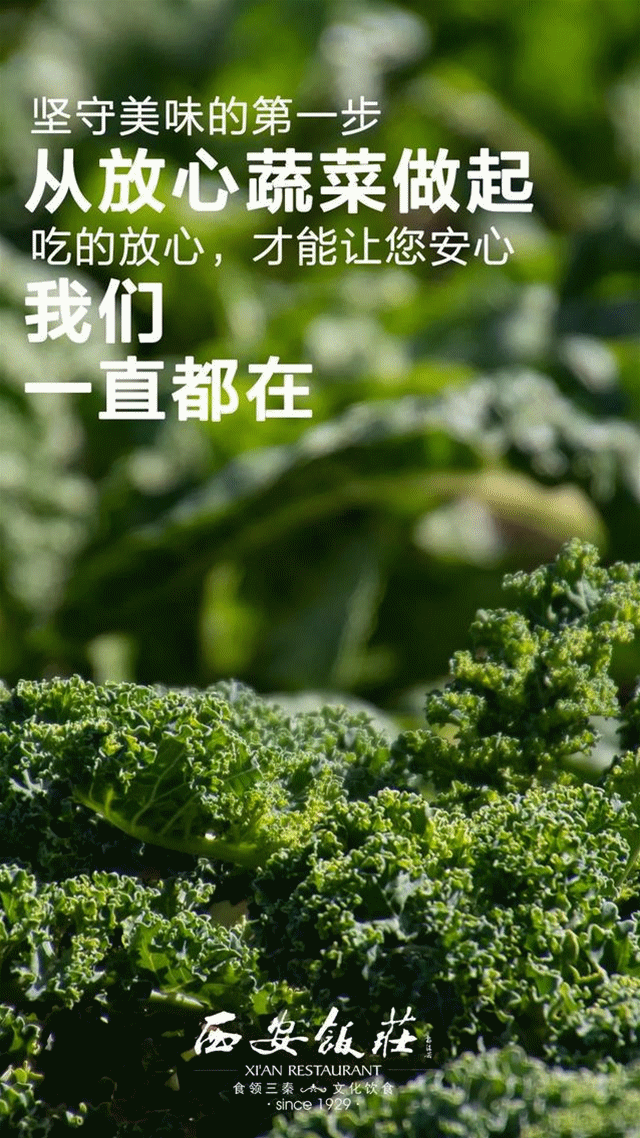 715f6581c45ea9671ec6b6891555ae27.gif