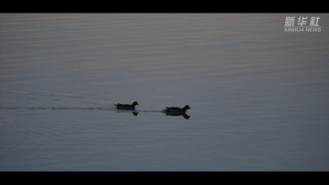 5e093cf6057c172cabfc79c4a0be7e89.gif
