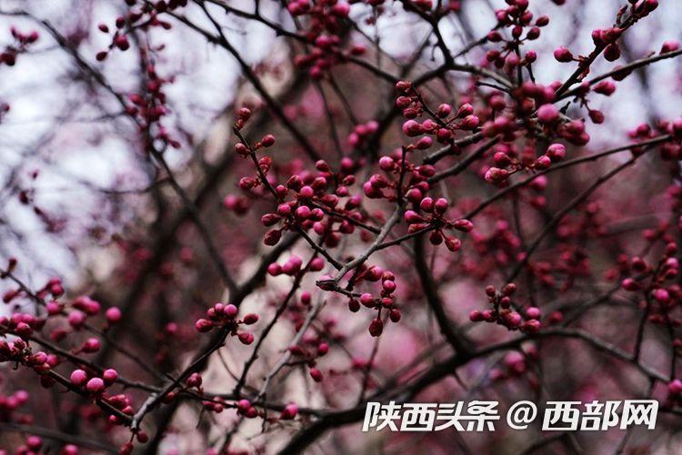 a33dcda2031e1a104f49016584f7c8be.jpeg