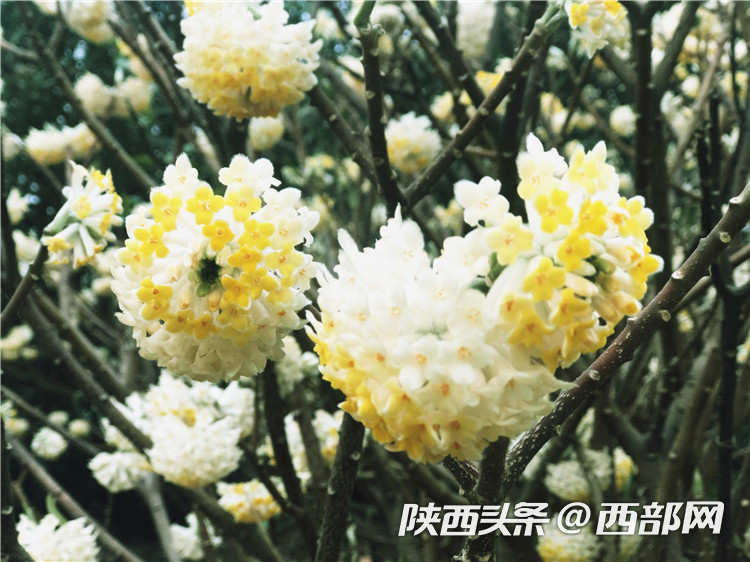 e75d7e94217271dc11c116b0bc43bc5a.png