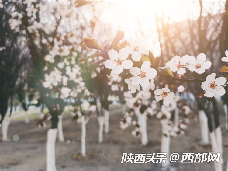 c6460936f53aac17197cdf6a138a45bb.png