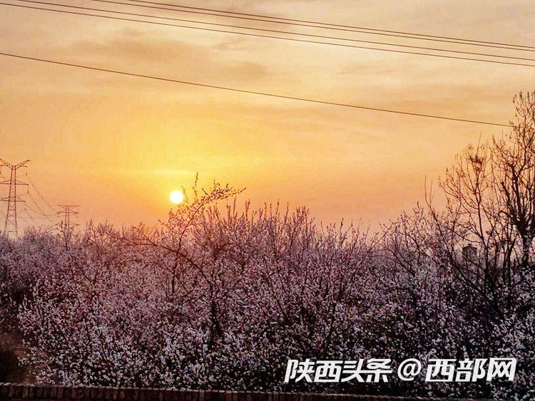 fe2b39eb885e6ee18f74f1a9fca3b115.jpeg