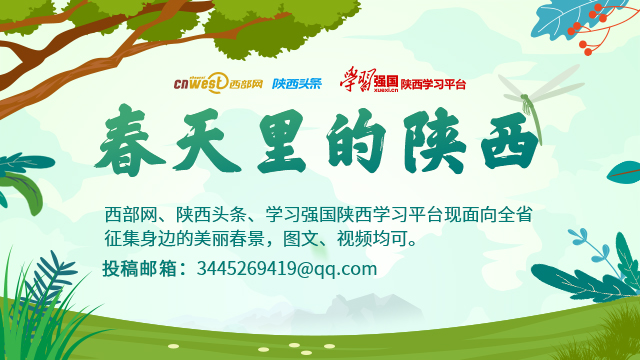 a1dc4ebd96d616eca9ec303157c8acb6.jpeg