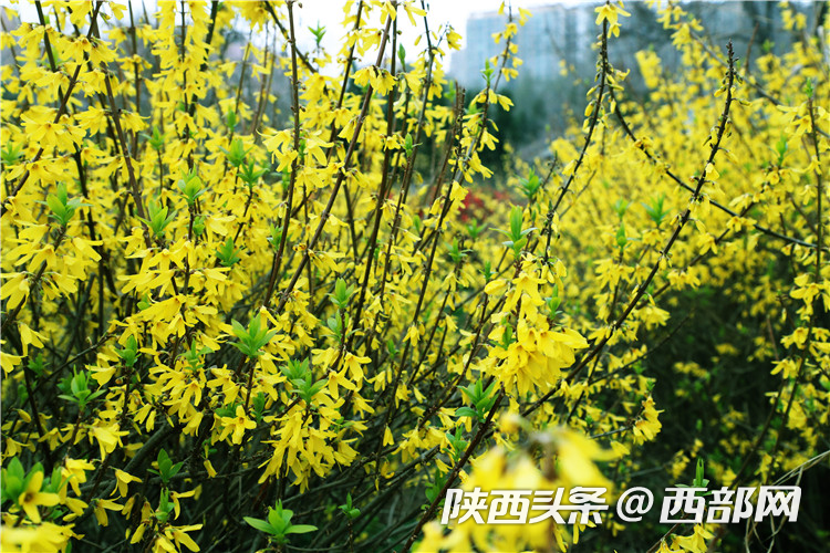 bb54319ef0d059b8ff89a92b081866f3.png