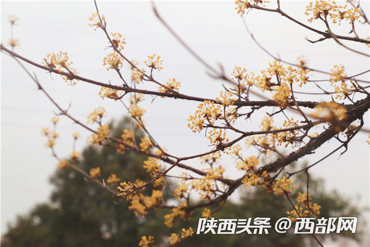 350ff4d8a9d52002fa50c9b7ee360330.png