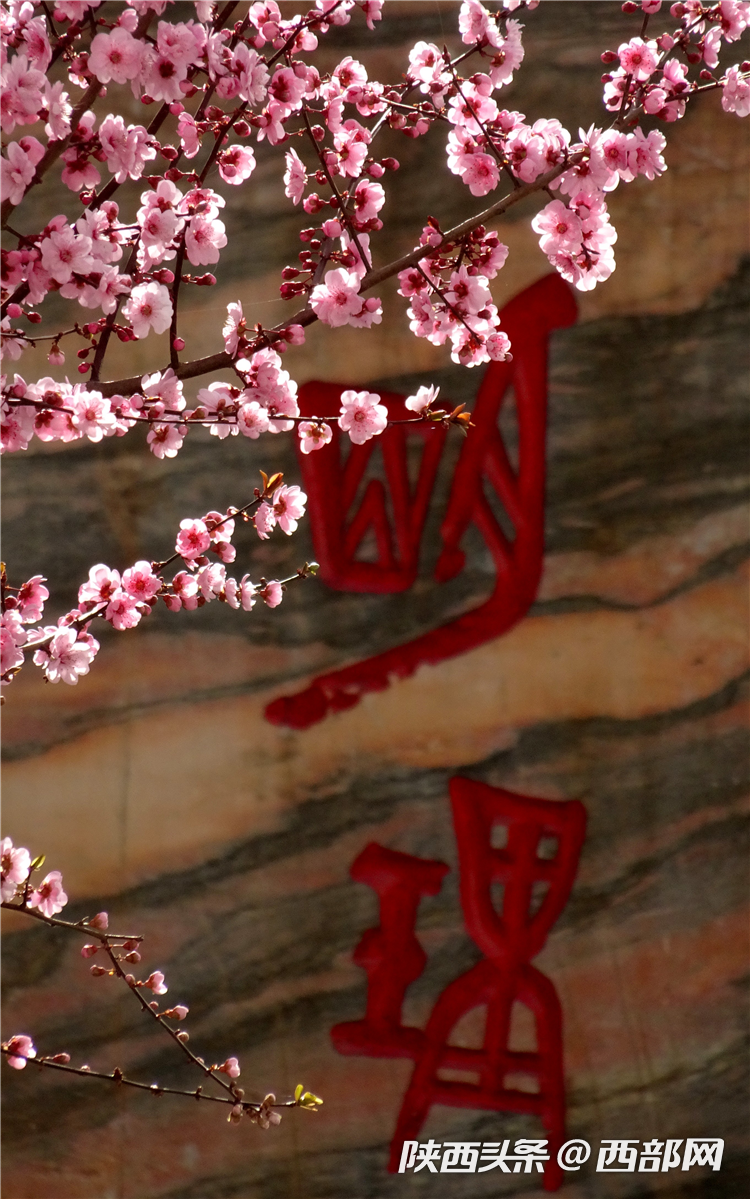 b1f4fc384145d2c281be375b1edd44ac.png