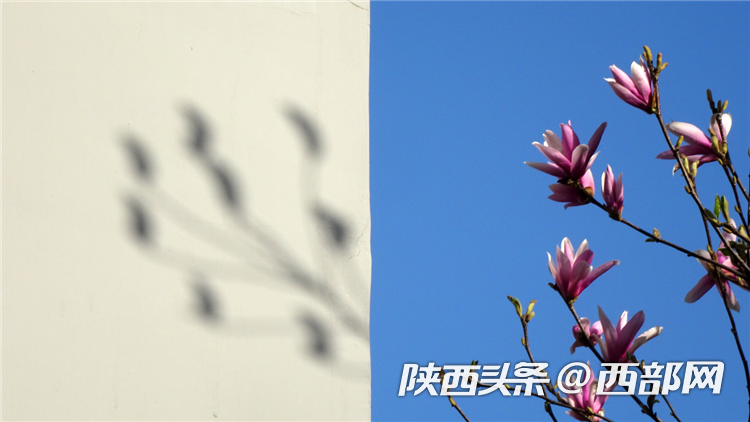325bad28c06f13db7daca1f3223c9e6b.png