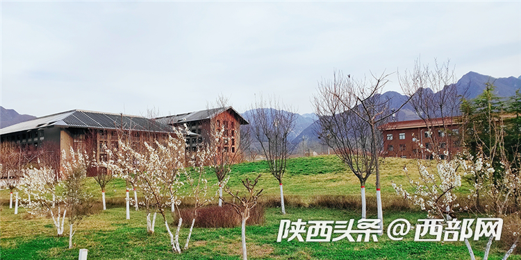 d803ef423b3538534e2d06c0d36c6b68.png