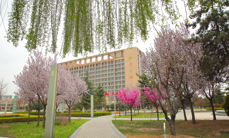 春天里的陕西丨咸阳职业技术学院 :我把校园的春天读给你听