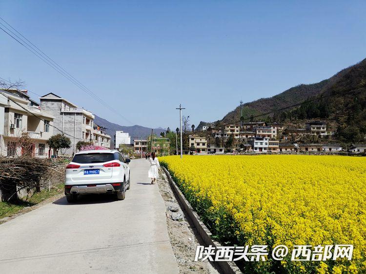 ff9e310d1e17cb367682d05302b39ce8.jpeg