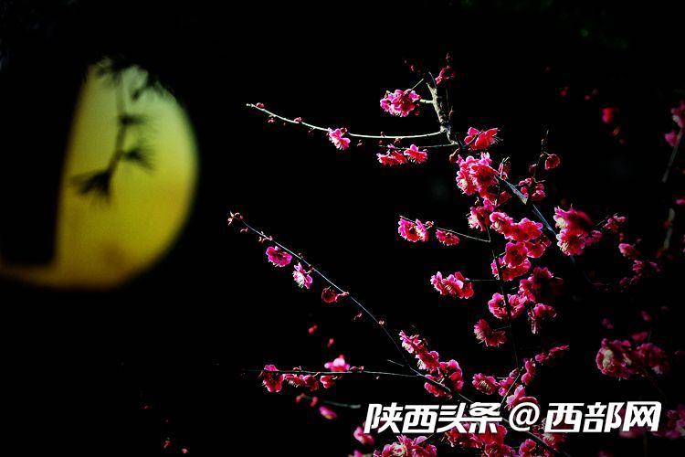 9d6a8cc5fca64a7aad374ad494709841.jpeg