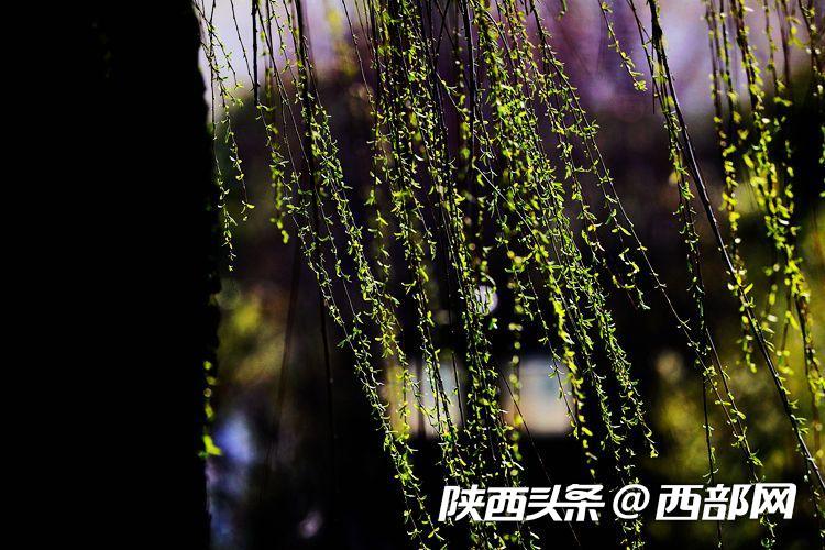b110126eceaf3fc60a86045c17d9d1ff.jpeg