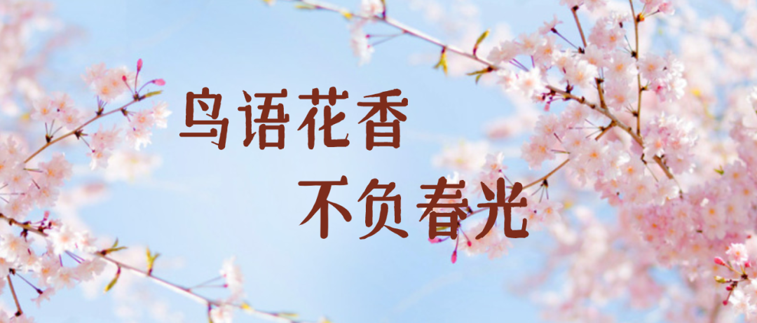 8cb3472053e6c4292208f47df1539358.png