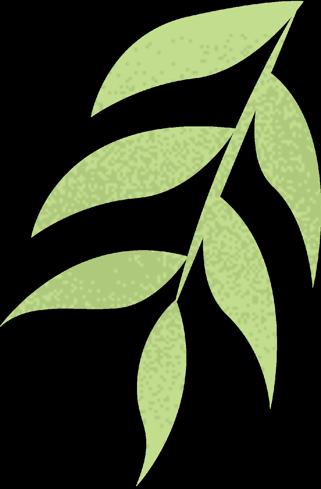 5c9a8ee3dc6faa75a971bb8ce15ef5bc.png