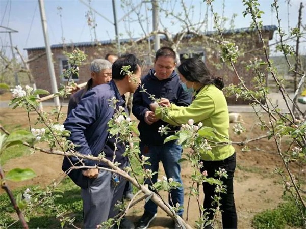 微信图片_20200414093817.jpg