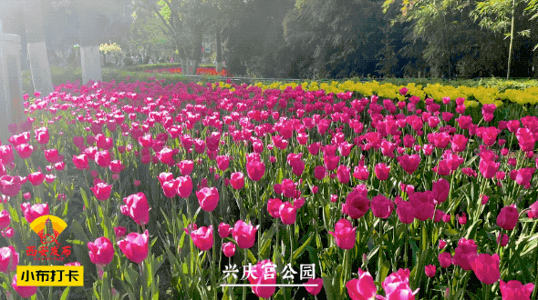 c8c1053030f1bb332f5d63b49f91bf4f.gif