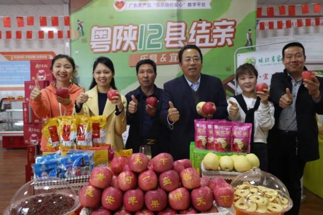 陕西省宜川县人民政府副县长朱小虎直播推介宜川苹果、酥梨等产品。图片来源宜川宣传