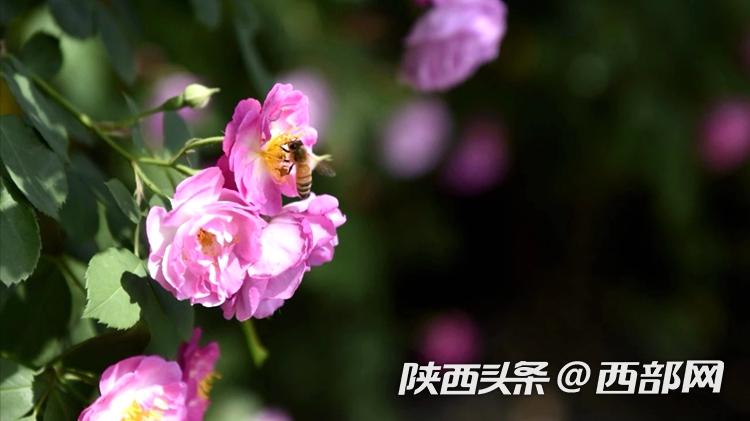 7387aa501a2f2fe83e71ff28206f23ec.jpeg