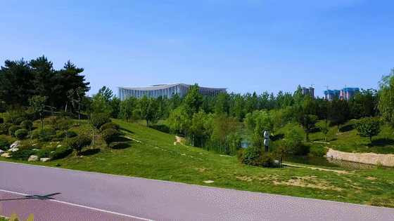 e8629d5ef8f80790b347e0af6fe35831.gif