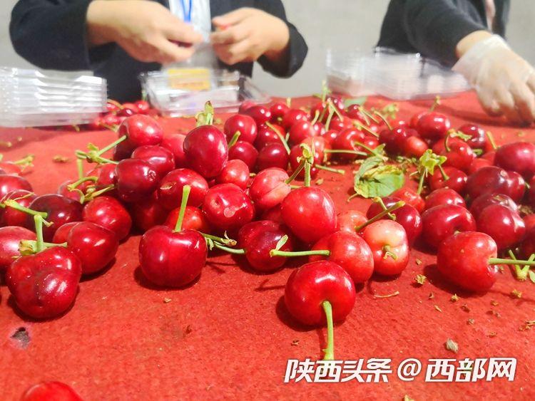 c50d1a09122fdac75bc1a613fd3a0f61.jpeg