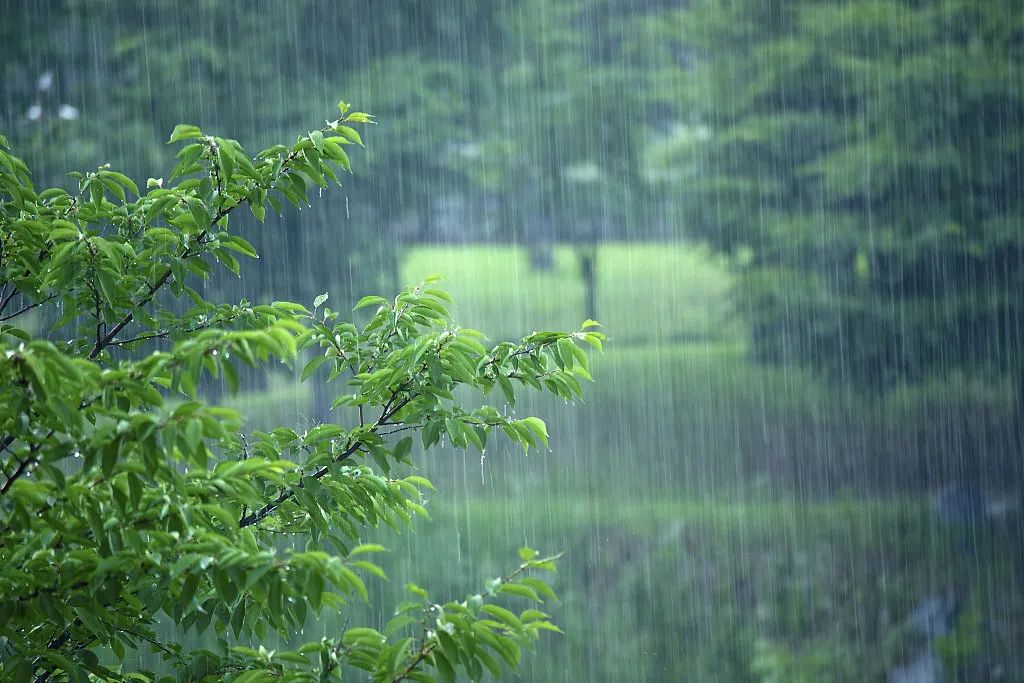 6日起陕西迎来降水降温天气 部分地方有大雨