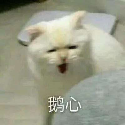 4c454ce2dbd7193d28a2dd720b452446.jpeg
