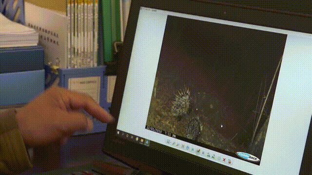 31e16f1252558a166523b6fccc55217f.gif