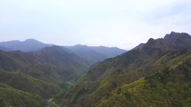 8c9b457b522f71b2975e58f2368cbd65.gif