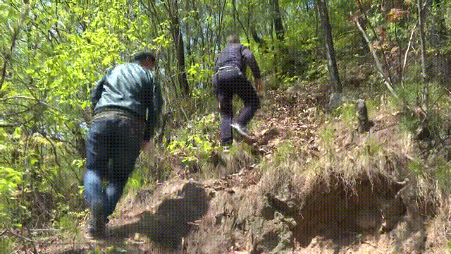 a25037847a7bb88f0cb3d9cc7e86c064.gif