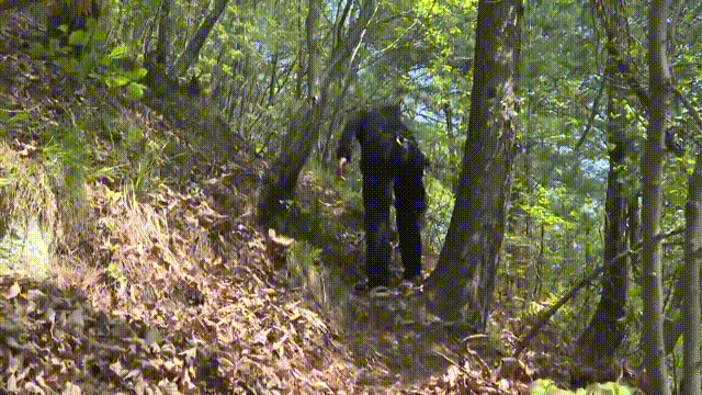 d89020f386566f887cbb7d8e96d8de9f.gif