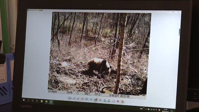 fefb05aae45b1c0e5d4e21d91ca51ee4.gif