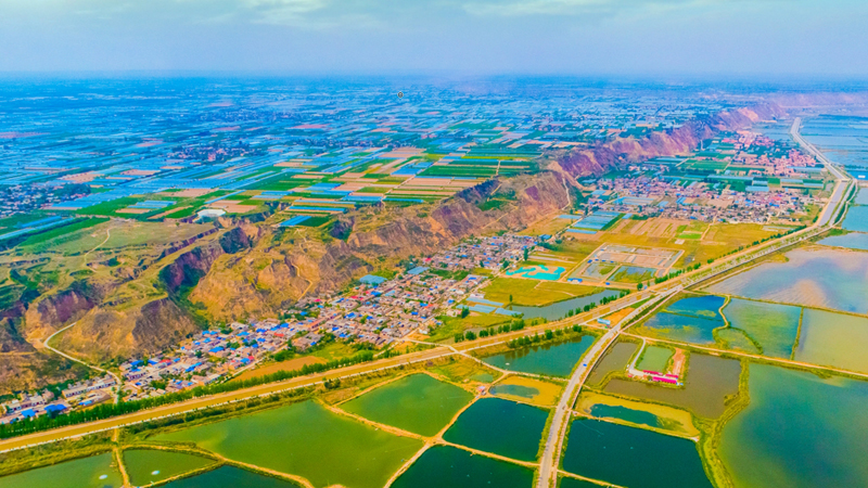 【视觉陕西】陕西大荔县:黄河湿地风景美如画
