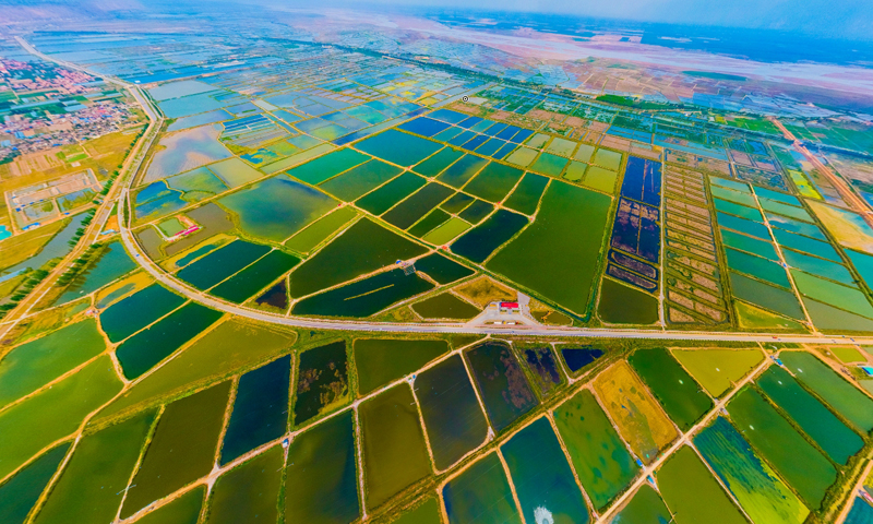 【视觉陕西】陕西大荔县:黄河湿地风景美如画