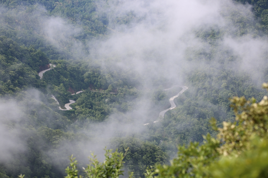 【大美秦岭】陕西石泉县云雾山:云雾缭绕 古树参天