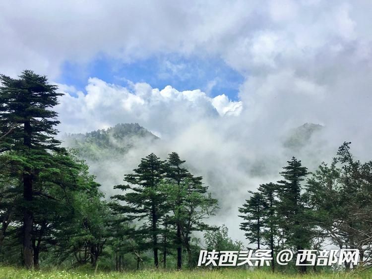 安静的秦岭山脉,让你体会大山的幽静与美丽.