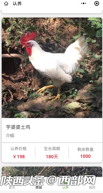8c1d147018b4302607ffd3a8f4d8ecd8.png
