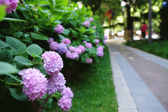 6ba11df3099d37920d1a28a9d215a25d.gif