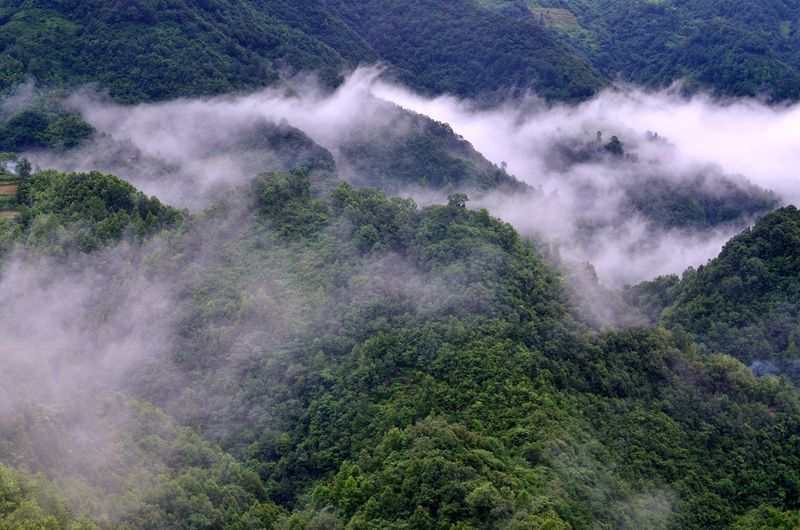 【大美秦岭】陕西宁强县:雨后的太阳岭如诗如画如仙境