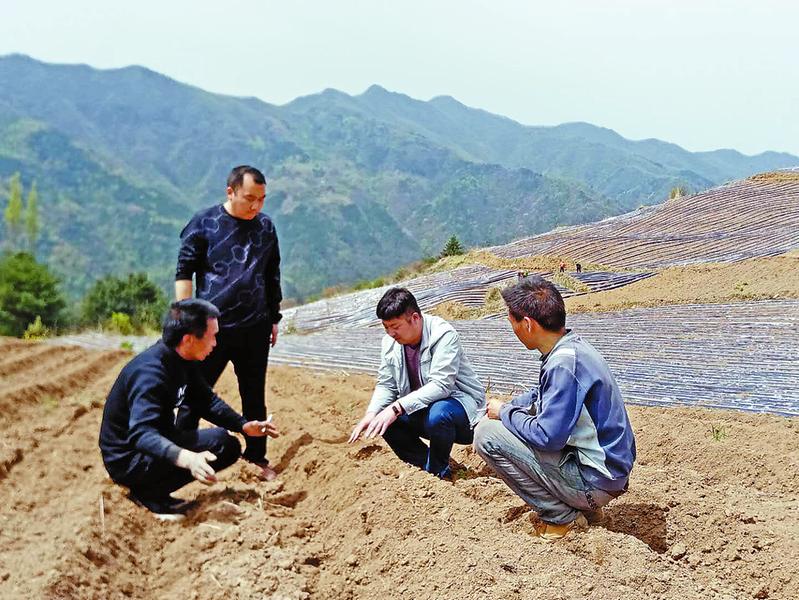 山阳县有多少人口_山阳县南宽坪镇窑口村村民举报村支书贪污数月无人过问(2)