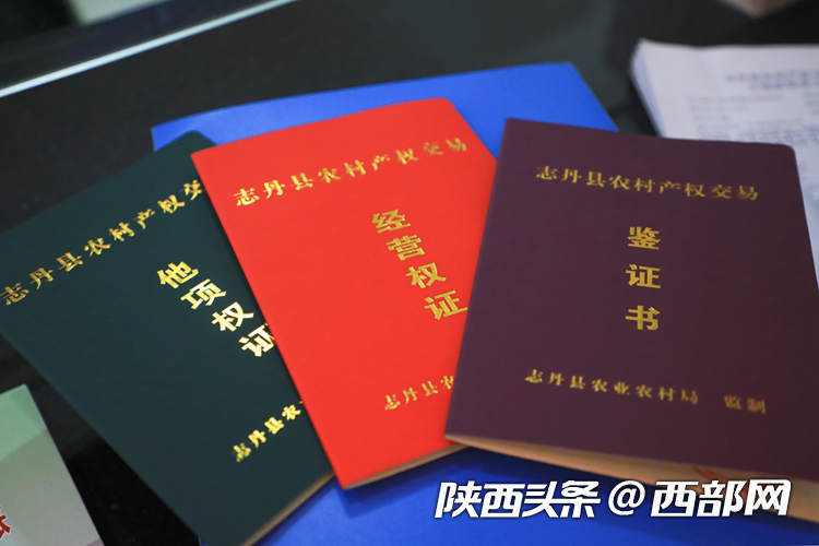 604fc15e23ac27a947774141c4c5dc7d.png
