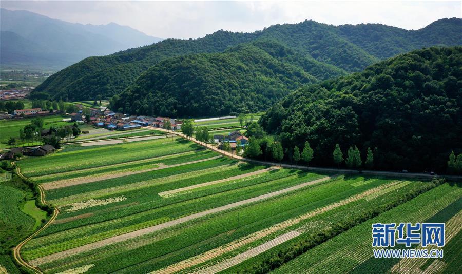 （经济）（5）陕西太白：秦岭高山蔬菜走出大山