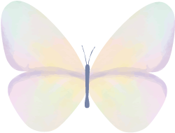 fc6b9674d68679430a4df1c0338c1305.png