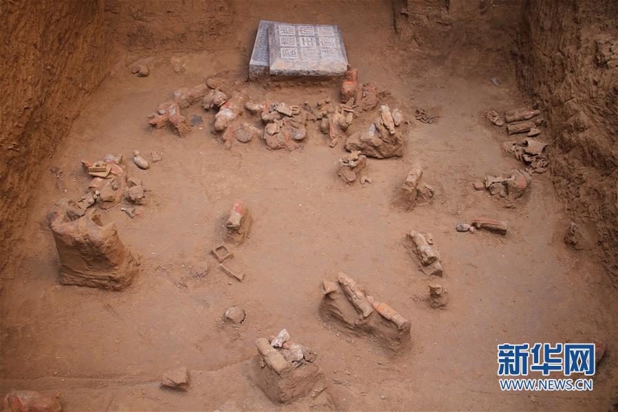 （图文互动）（5）陕西西咸新区发现隋代王韶家族墓园