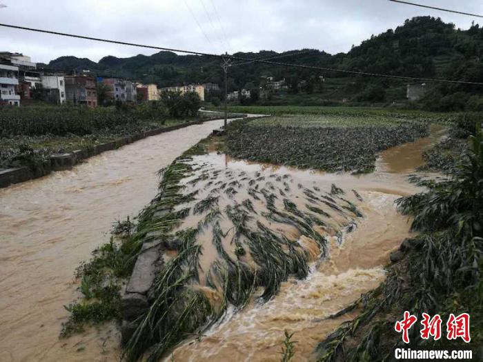 泸州古蔺县人口_四川泸州古蔺县地图(2)