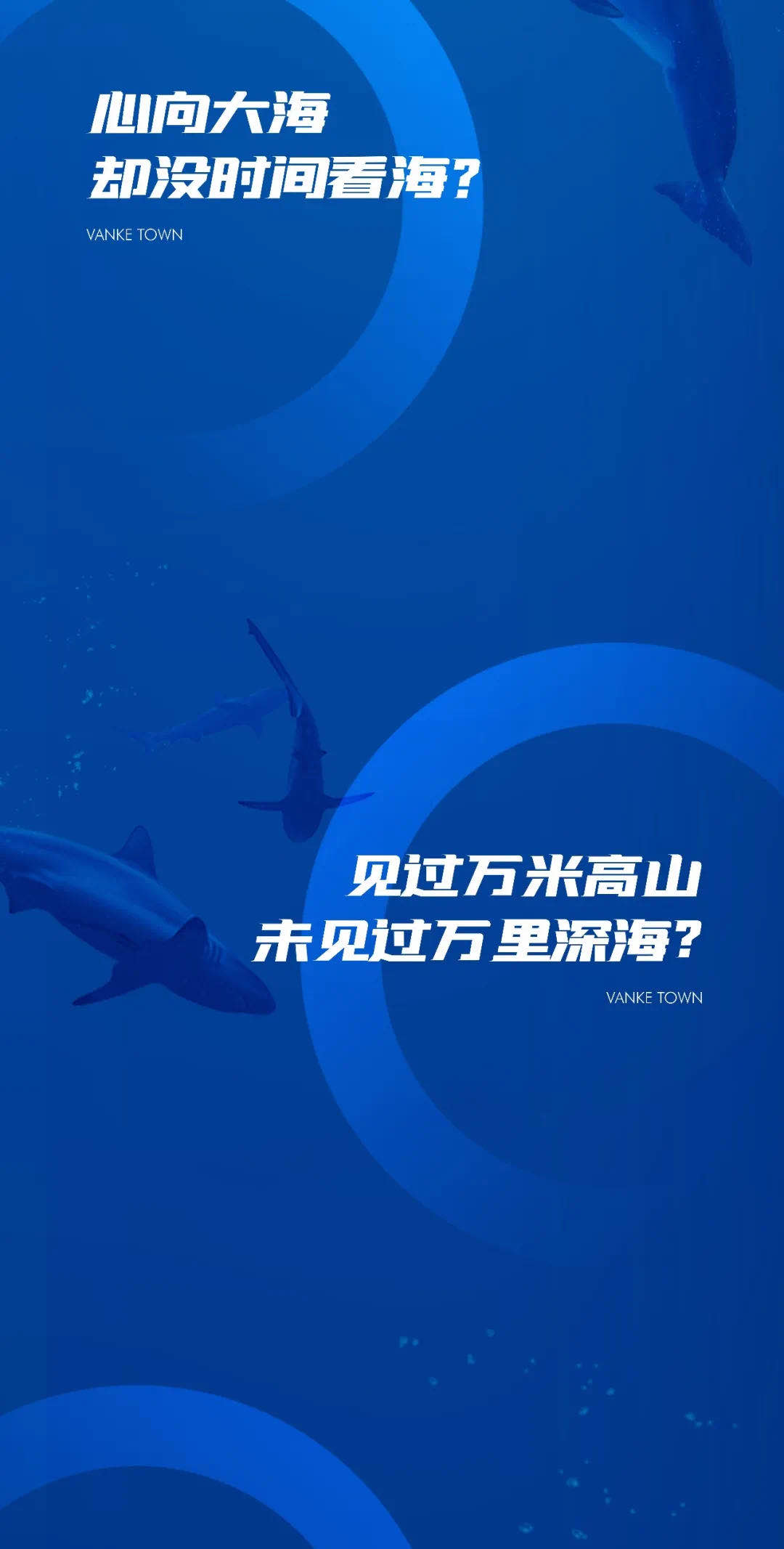 7c51aee08348fb6c739f3a986fe787ae.jpg